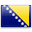 Bosnian Translation Services