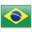 Portuguese (Brazil) Translation Services