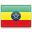 Amharic Translation Services