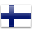 Finnish Translation Services
