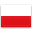 Polish Translation Services