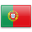 Portuguese (Portugal) Translation Services