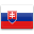 Slovak Translation Services