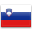 Slovenian (Slovene) Translation Services