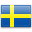 Swedish Translation Services