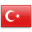 Turkish Translation Services