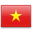Vietnamese Translation Services